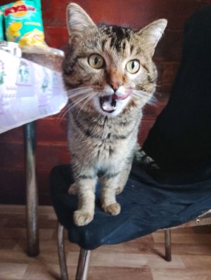 раскрасывание