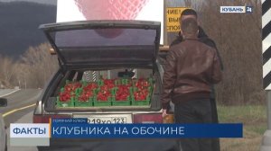 Жителей и гостей Кубани предупредили о рисках при покупке клубники у трассы