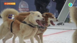 УЗНАТЬ ЗА 60 СЕКУНД. НОВОСТИ КАМЧАТКИ 24.03.26