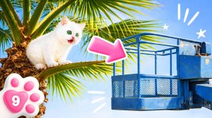 Кто поможет котёнку Кефиру? Он залез на высокое дерево, и теперь ему нужна помощь, чтобы спуститься