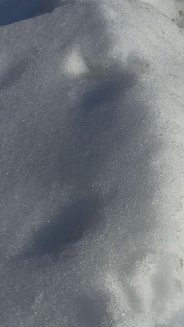 Мастер наблюдений