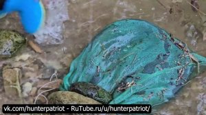 Ловля рыбы во время шторма: парень из Хайленда добывает крупного сома и карпа для продажи в деревне