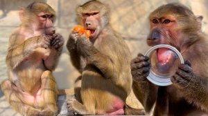 Король БАНОК и Королева ОРЕХОВ! Степа и Люся следят за своими сокровищами! Чужие дети быстро растут!