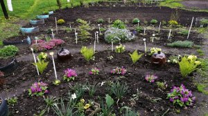 Апрельские работы цветовода