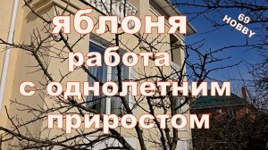 Обрезка десятилетней яблони!