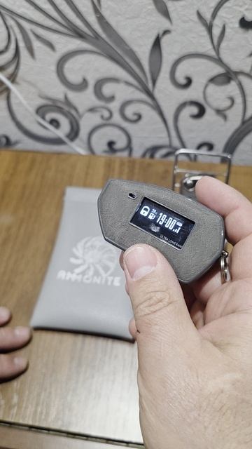 Чехол на ключе Skoda Octavia A5 FL и  брелок Pandora от  FIBONACCI