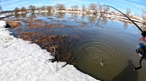 Весенний клёв: окунь и щука на микроджиг и мормышинг без заморочек.