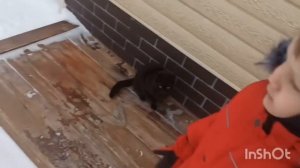 Жизнь_в_деревне🥰._Дети,_внуки.___...Аршова._Живем_в_деревне.___Дзен_4