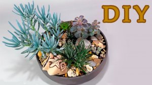 Композиция из СУККУЛЕНТОВ своими руками, ДО и ПОСЛЕ зимы._1080p