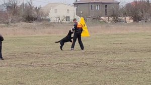 Шерхан защита IGP3, 83б. Ростов-на-Дону, 21.03.26