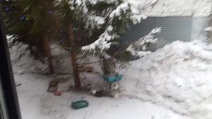 заходите белочки