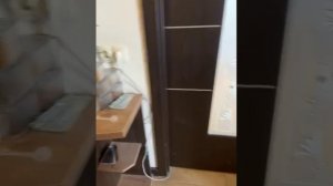 Она случайно остановилась