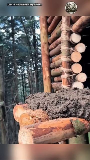 МУЖЧИНА СТРОИТ ДОМ НА ДЕРЕВЕ