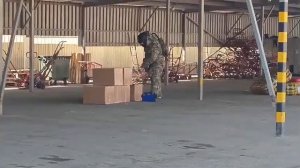 ‼️🇷🇺 ФСБ предотвратила теракт в Москве и сорвала поставку опасного груза в зону СВО !!!