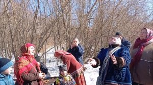 Сороки на Якоби-парк - 2026