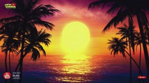 𝑺𝒚𝒍𝒗𝒊𝒐 🌴 🄴🄻🄸🅉🄰 🄻🄾🅅🄴 🄸🄱🄸🅉🄰 2026🔥🅂🅄🄼🄼🄴🅁 🄳🄰🄽🄲🄴 ( 🄻🄸🄼🄸🅃🄴🄳 )