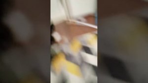 Первый стрим