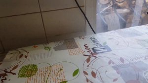 (-6 ЛЕТ) Жареный карась без костей, это просто и очень вкусно! рецепты из рыбы от Одесского Липована