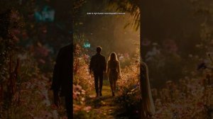 Любовь на закате