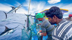 Вау🤩 Непрерывное действие! 5-й день ловли сетями в открытом океане