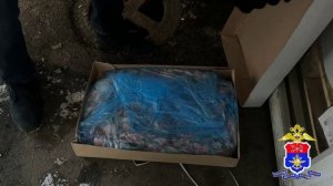 Расследование контрабанды 154 тонн рыбной продукции завершила транспортная полиция Петербурга