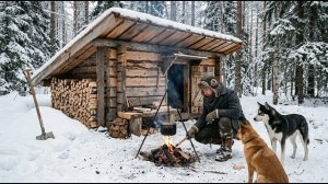 Создаю теплое деревянное укрытие, чтобы пережить снежную бурю с моими двумя собаками. Бушкрафт