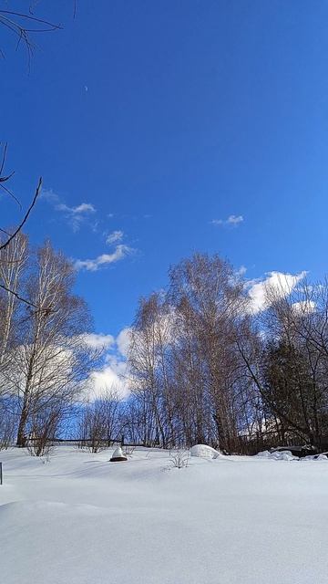 весенний день 🍁