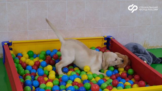 Росинке 4 месяца