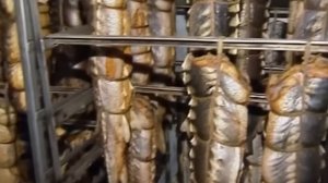 Осетровая Война