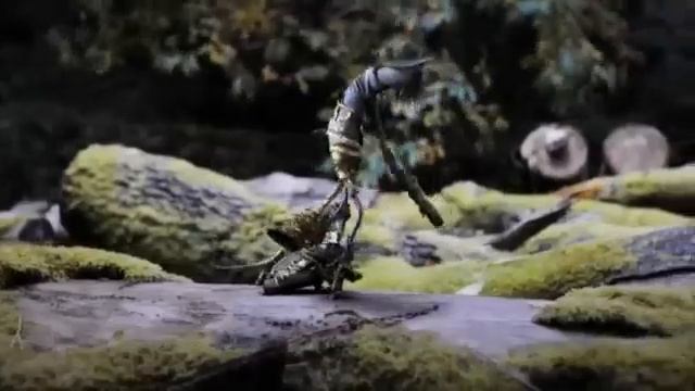 Flogging Molly - Float