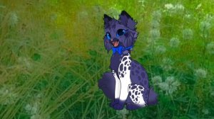 Для чего будет переоборудован этот канал