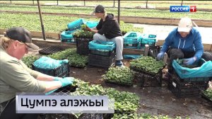 9.30 – «Къэбархэр» от 24.03.2026г.