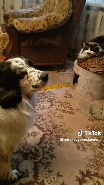 Ну как достать?...)))