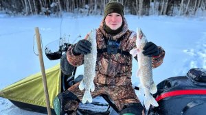 КАЖДЫЙ день СНИМАЮ ЩУК с ЖЕРЛИЦ / ТАЕЖНАЯ РЕЧКА / ЛОВЛЯ ОКУНЯ