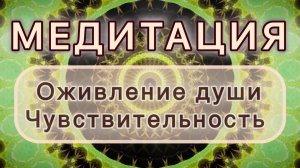 Оживление души. Чувствительность. Трансформационная МЕДИТАЦИЯ. Высокие вибрации.