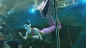 ЕДЕМ СМОТРЕТЬ БАЙТЕРЕК И ОКЕАНАРИУМ В АСТАНЕ 18.08.23