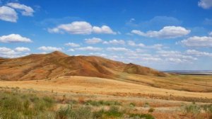 НАМ СНИТСЯ...  Песня в исполнении Надежды Ильченко, на слова Владимира Умрихина.