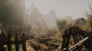 Дачный сезон...