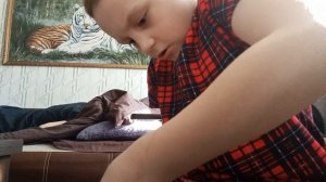 метал карбот