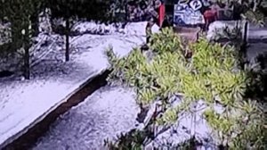 Дом 2 Разлад