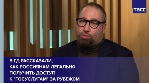 В ГД рассказали, как россиянам легально получить доступ к "Госуслугам" за рубежом