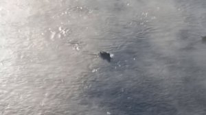 2. Утки. Река Белая Агидель. Город Белорецк. 27 января 2026 года.