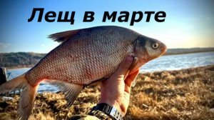 КАК ЛОВИТЬ ЛЕЩА В МАРТЕ? ПРИМАНКИ И СНАСТИ ДЛЯ РЫБАЛКИ! МЕСТА ДЛЯ ЛОВЛИ ЛЕЩА