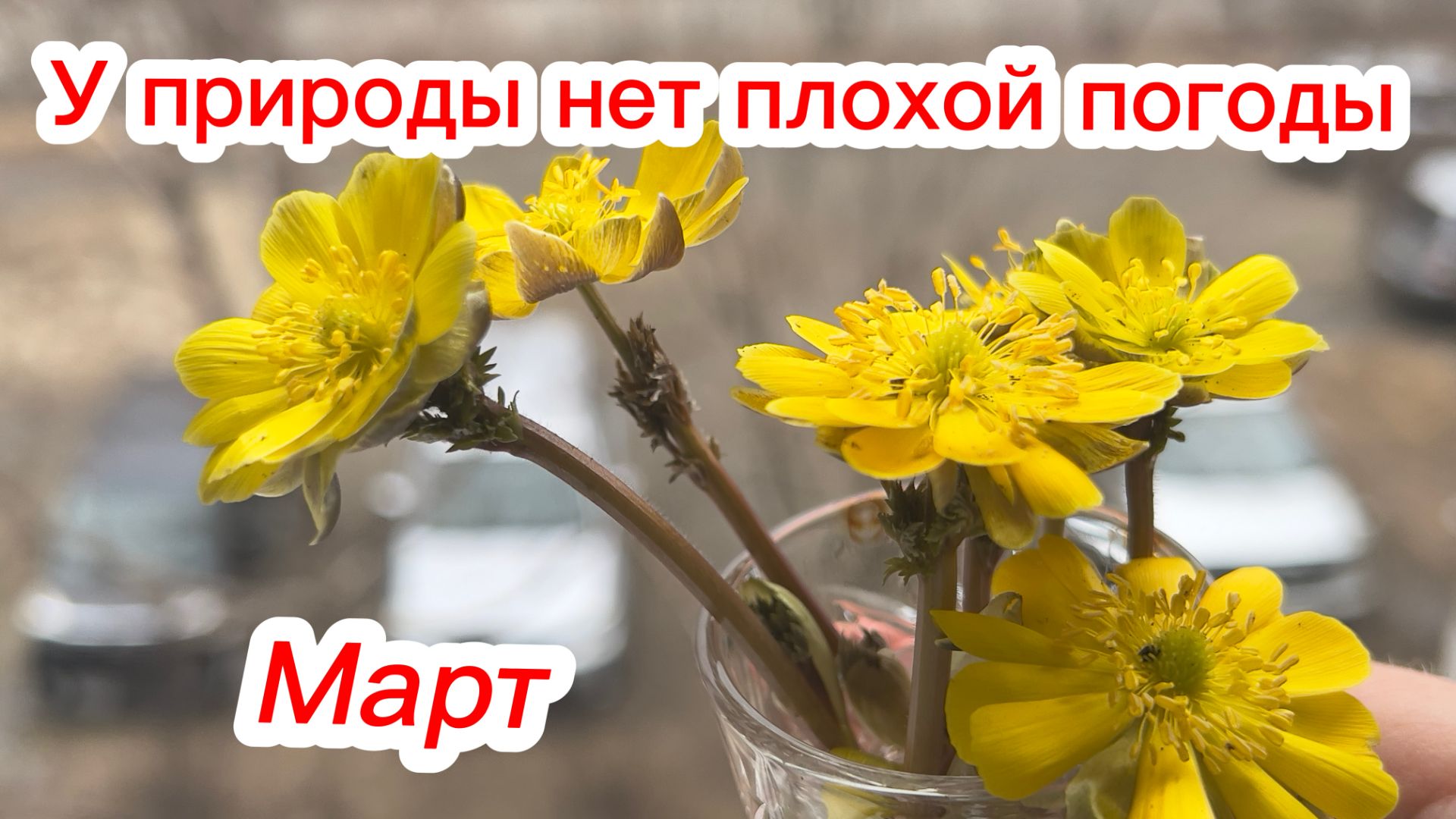 У природы нет плохой погоды/Видео зарисовка провинциального городка/Иду домой/