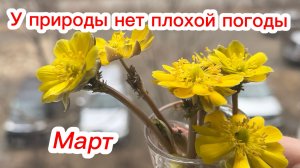 У природы нет плохой погоды/Видео зарисовка провинциального городка/Иду домой/