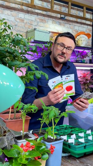 Какие томаты сею для открытого грунта в 2026