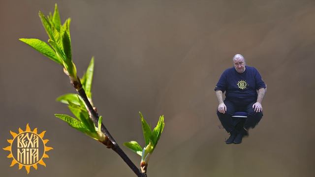 Контроль внутренней силы. Особенности питания. Сновиденье наяву.