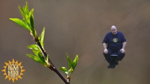 Контроль внутренней силы. Особенности питания. Сновиденье наяву.