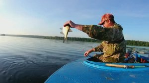 ОБЛОВИЛ МУДРОГО РЫБАКА!РЫБАЛКА НА ЛЕЩА.ЛОВЛЯ ЛЕЩА НА ДОНКИ С ЛОДКИ.рыбалка на верхней волге.