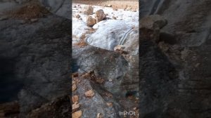 Адыгея, Фишт 15-17 сентября 2025 года